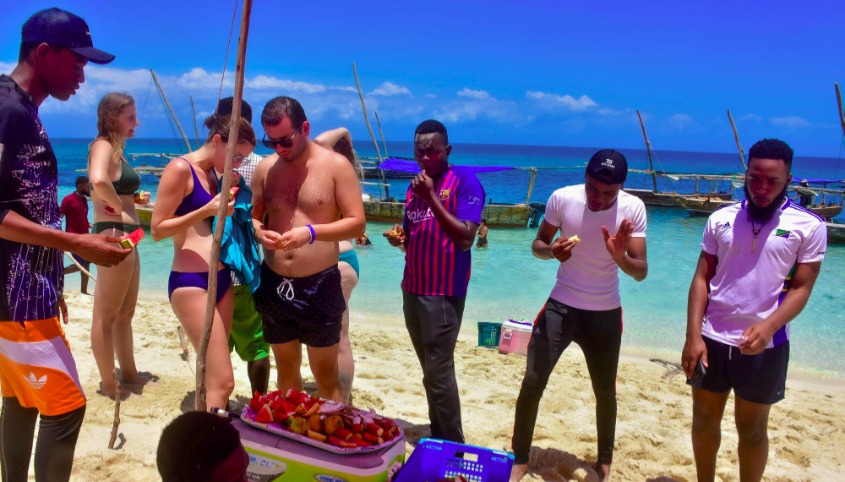 Safari Blue Picknick