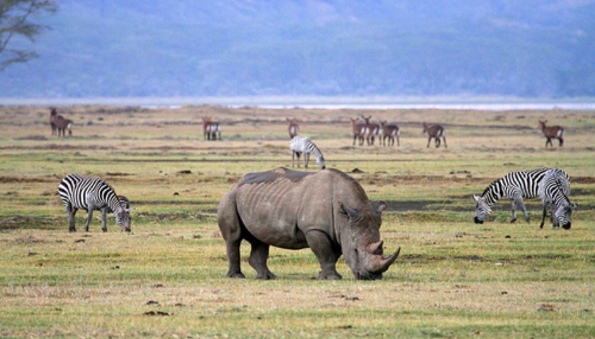 Ngorongoro National Park
