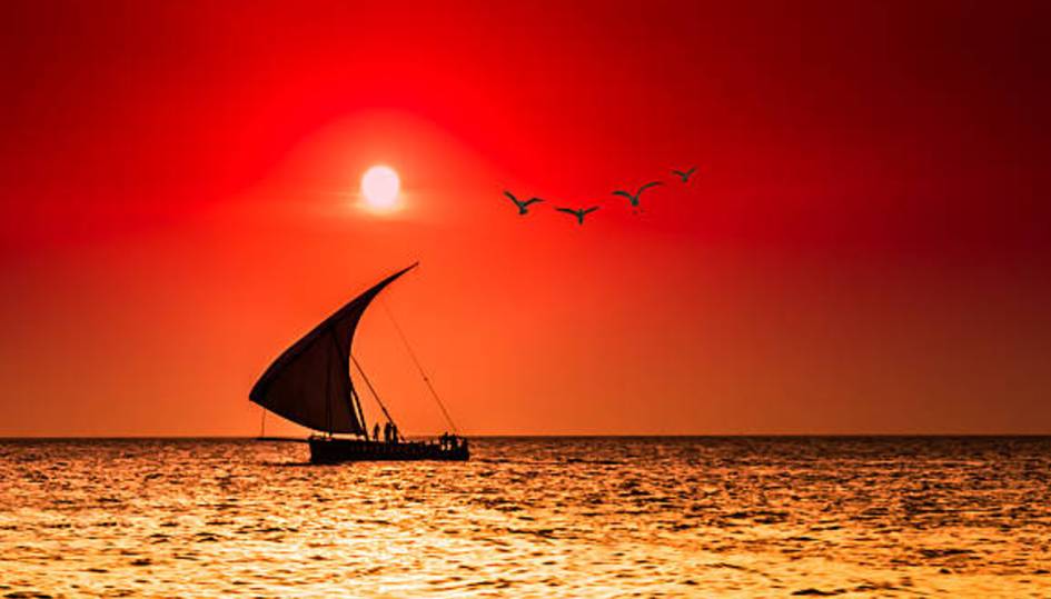 Sunset cruise