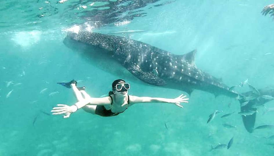 Zan Coast Tour & Safaris