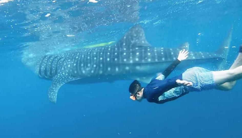 Zan Coast Tour & Safaris