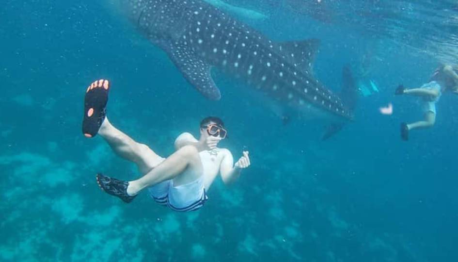 Zan Coast Tour & Safaris
