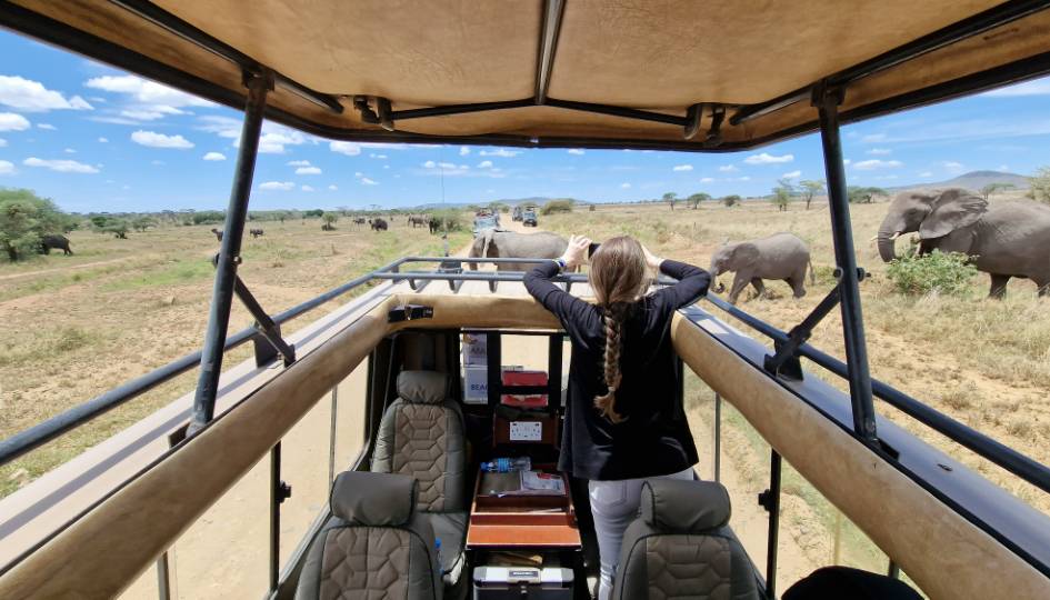 2 Days Mikumi Safari from Zanzibar with Maasai Village Experience